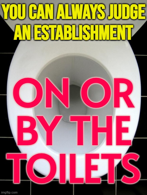 You Can Always Judge An Establishment On The Toilets | YOU CAN ALWAYS JUDGE
AN ESTABLISHMENT; ON OR
BY THE
TOILETS | image tagged in toilet,bathroom humor,establishment,living,judge,hotel | made w/ Imgflip meme maker