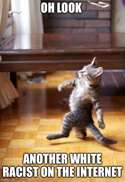 Cool Cat Stroll Meme | OH LOOK; ANOTHER WHITE RACIST ON THE INTERNET | image tagged in memes,cool cat stroll | made w/ Imgflip meme maker