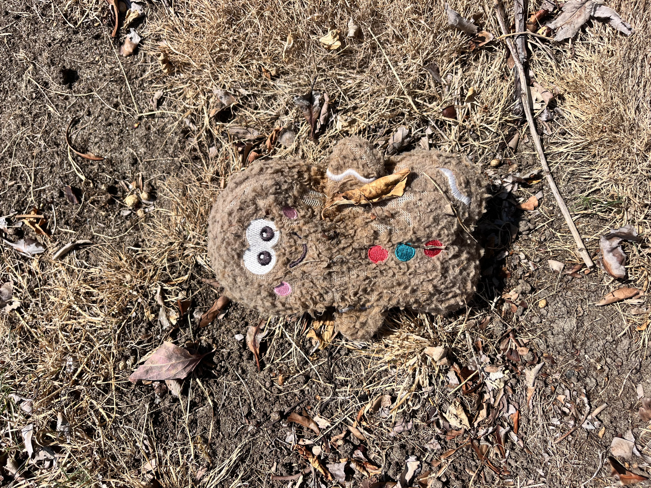 Dog’s chew toy Blank Meme Template