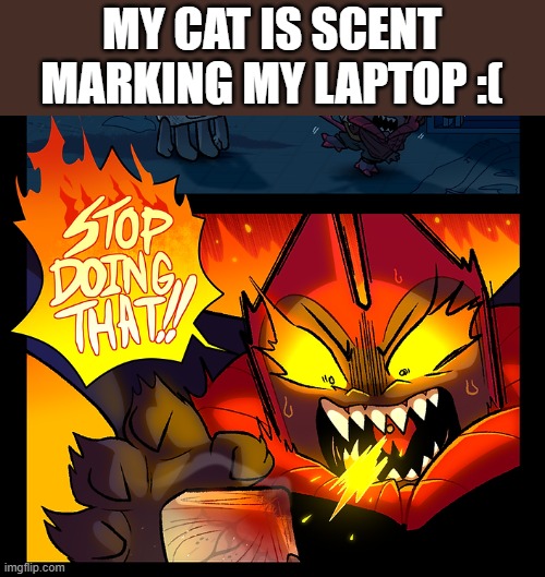 it's mine :( | MY CAT IS SCENT MARKING MY LAPTOP :( | image tagged in stop doing that | made w/ Imgflip meme maker