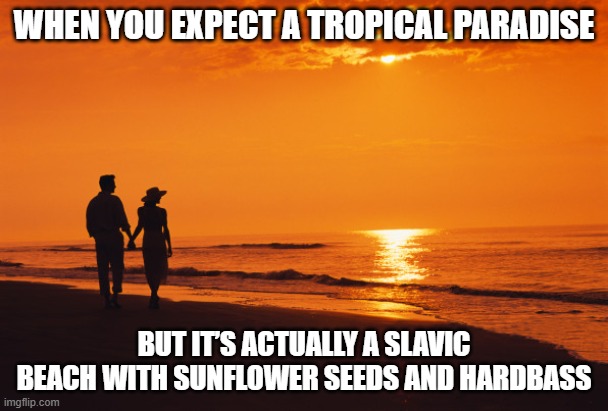 couple beach | WHEN YOU EXPECT A TROPICAL PARADISE; BUT IT’S ACTUALLY A SLAVIC BEACH WITH SUNFLOWER SEEDS AND HARDBASS | image tagged in couple beach,slavic beach | made w/ Imgflip meme maker