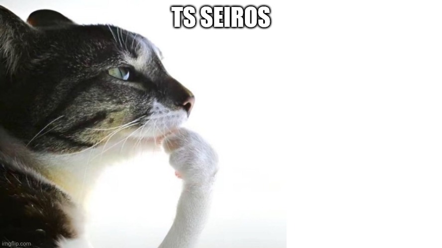 Thinker | TS SEIROS | image tagged in thinker | made w/ Imgflip meme maker