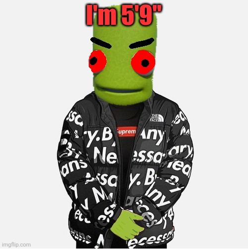 EVIL epilektoi drip | I'm 5'9" | image tagged in evil epilektoi drip | made w/ Imgflip meme maker