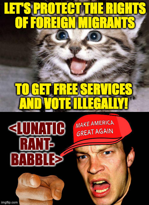 LET'S PROTECT THE RIGHTS
OF FOREIGN MIGRANTS TO GET FREE SERVICES AND VOTE ILLEGALLY! | made w/ Imgflip meme maker