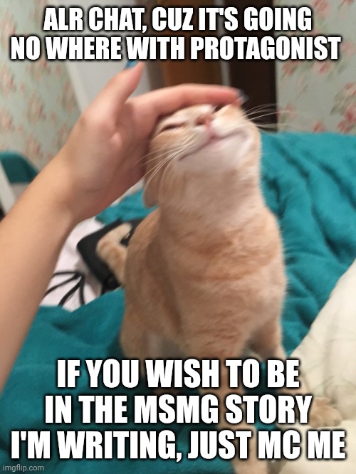 We can brainstorm together! | ALR CHAT, CUZ IT'S GOING NO WHERE WITH PROTAGONIST; IF YOU WISH TO BE IN THE MSMG STORY I'M WRITING, JUST MC ME | image tagged in cat pat | made w/ Imgflip meme maker