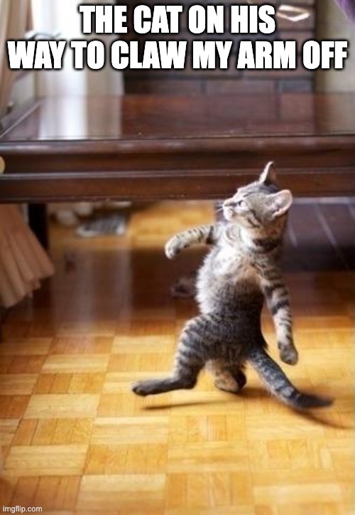 The life of a menace | THE CAT ON HIS WAY TO CLAW MY ARM OFF | image tagged in memes,cool cat stroll | made w/ Imgflip meme maker