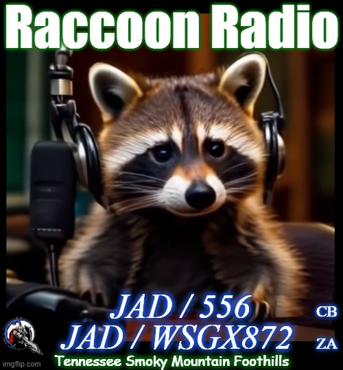 Hellooo Radio | Raccoon Radio; JAD / 556; JAD / WSGX872; CB; ZA; Tennessee Smoky Mountain Foothills | image tagged in racoon radio,raccoon,gmrs,cb,jad | made w/ Imgflip meme maker