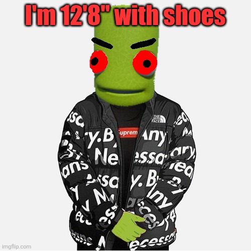 EVIL epilektoi drip | I'm 12'8" with shoes | image tagged in evil epilektoi drip | made w/ Imgflip meme maker
