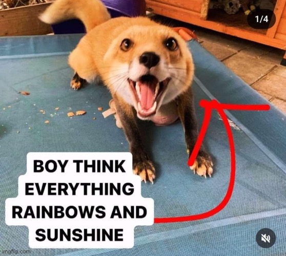 Poor fox | made w/ Imgflip meme maker