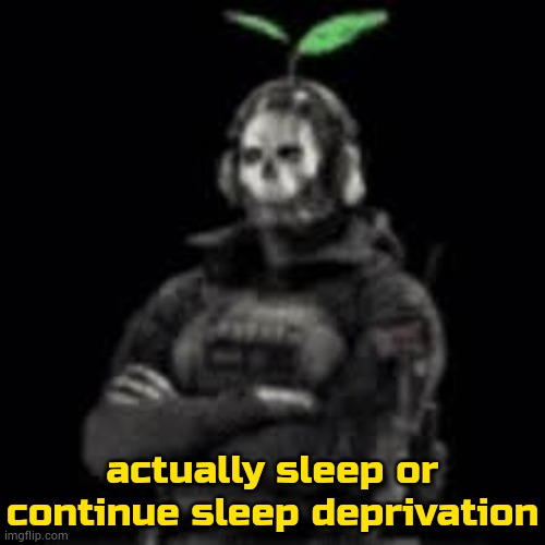 forgor i said gn :3 | actually sleep or continue sleep deprivation | image tagged in ghost plant | made w/ Imgflip meme maker