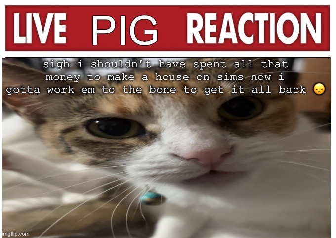 woah | sigh i shouldn’t have spent all that money to make a house on sims now i gotta work em to the bone to get it all back 😞 | image tagged in woah | made w/ Imgflip meme maker