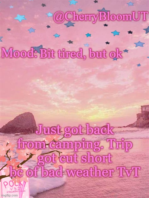 TvT | Bit tired, but ok; Just got back from camping. Trip got cut short bc of bad weather TvT | made w/ Imgflip meme maker
