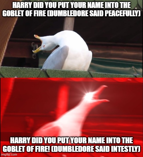 harry did you put your name into the goblet of fire | HARRY DID YOU PUT YOUR NAME INTO THE GOBLET OF FIRE (DUMBLEDORE SAID PEACEFULLY); HARRY DID YOU PUT YOUR NAME INTO THE GOBLET OF FIRE! (DUMBLEDORE SAID INTESTLY) | image tagged in screaming bird | made w/ Imgflip meme maker