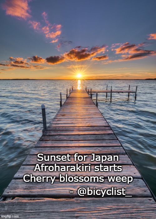 Japan is committing hara-kiri by importing Africans to destroy the culture | Sunset for Japan
Afroharakiri starts
Cherry blossoms weep; - @bicyclist_ | image tagged in sun set behind a long dock,japan,japanese,african,immigrants,suicide | made w/ Imgflip meme maker