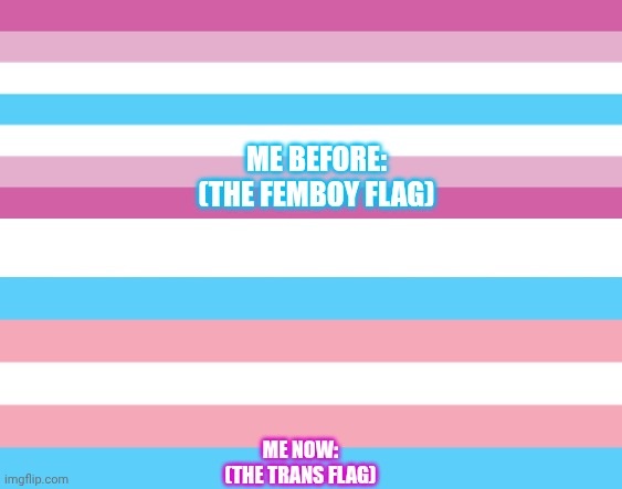 The change | ME BEFORE:
(THE FEMBOY FLAG); ME NOW:
(THE TRANS FLAG) | image tagged in transgender,femboy,homo,memes | made w/ Imgflip meme maker