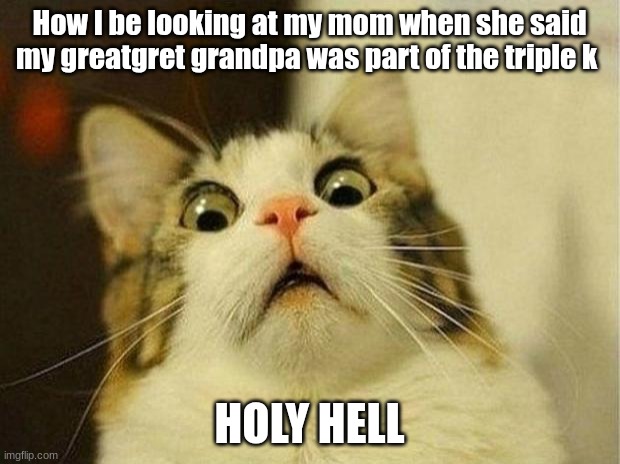 Scared Cat | How I be looking at my mom when she said my greatgret grandpa was part of the triple k; HOLY HELL | image tagged in memes,scared cat | made w/ Imgflip meme maker