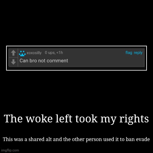 The woke left took my rights | This was a shared alt and the other person used it to ban evade | image tagged in funny,demotivationals,boner | made w/ Imgflip demotivational maker