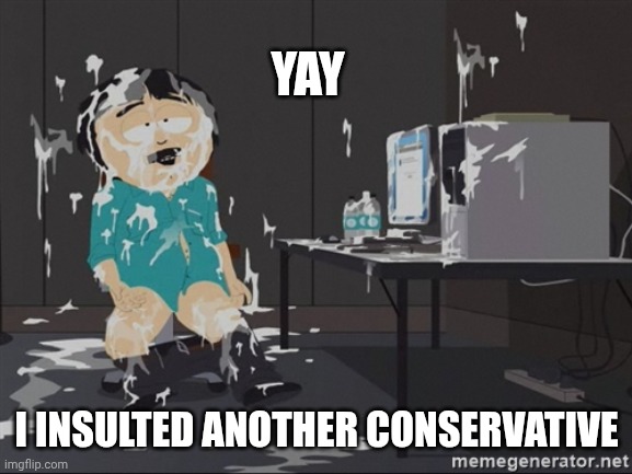 South Park JIzz | YAY I INSULTED ANOTHER CONSERVATIVE | image tagged in south park jizz | made w/ Imgflip meme maker