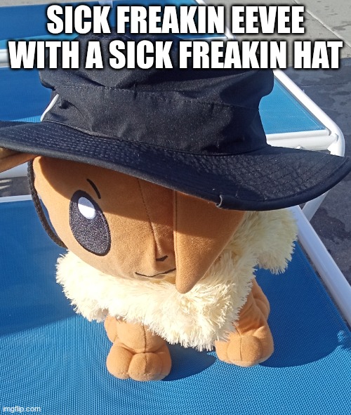 awesomeness | SICK FREAKIN EEVEE WITH A SICK FREAKIN HAT | image tagged in eevee with hat | made w/ Imgflip meme maker
