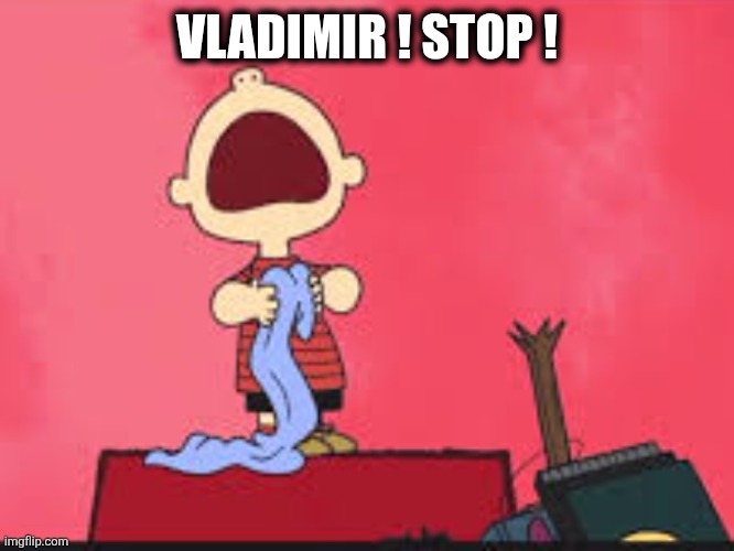 Vlad | VLADIMIR ! STOP ! | image tagged in maga | made w/ Imgflip meme maker
