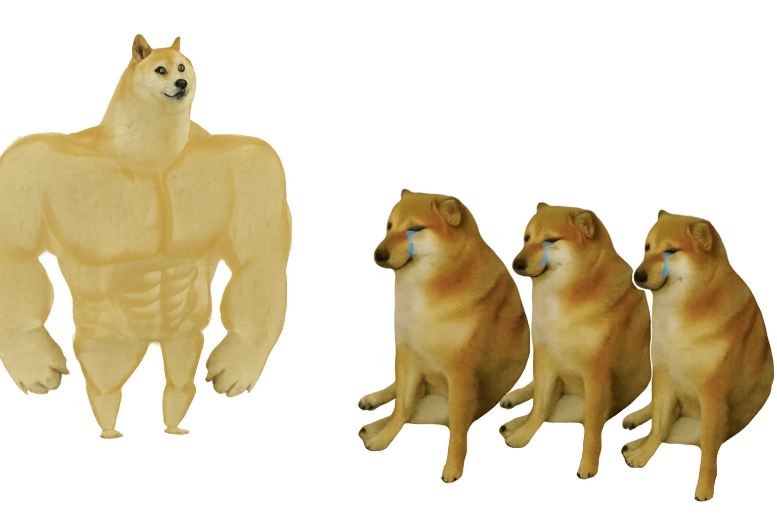 buff doge Blank Meme Template