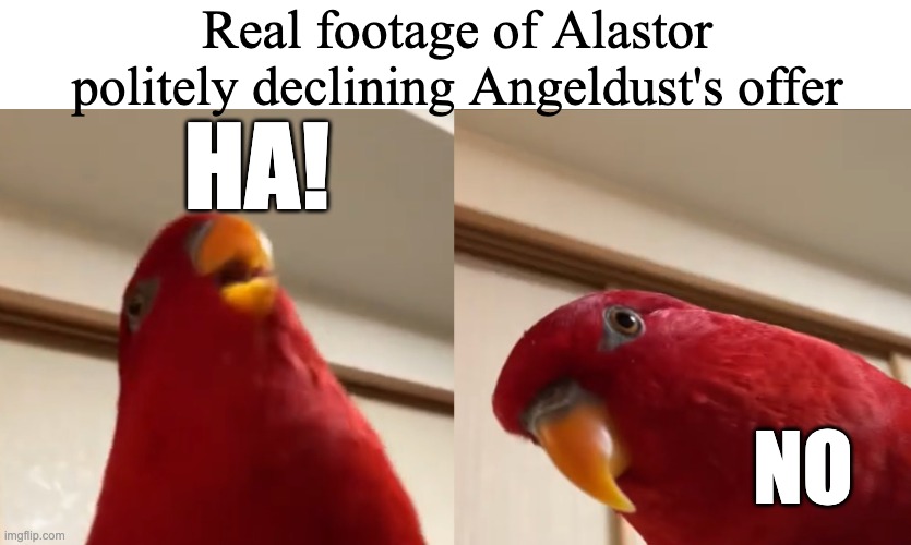 Gumi laughing and gumi staring | Real footage of Alastor politely declining Angeldust's offer; HA! NO | image tagged in gumi laughing and gumi staring | made w/ Imgflip meme maker
