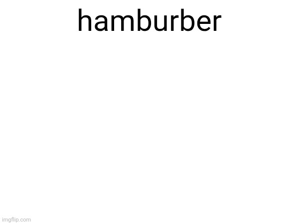 hamburber | made w/ Imgflip meme maker
