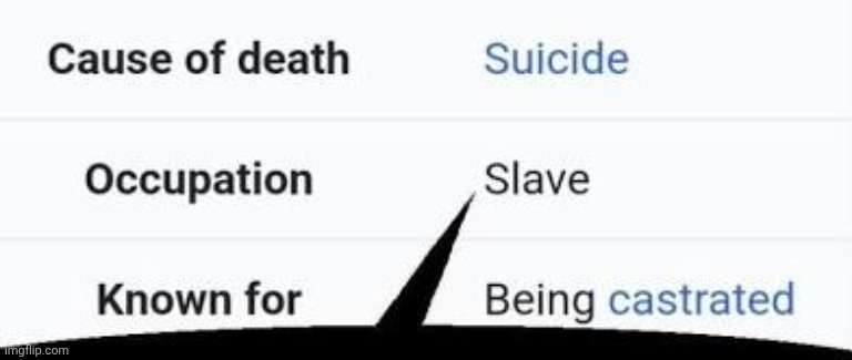 occupation slave | image tagged in occupation slave | made w/ Imgflip meme maker