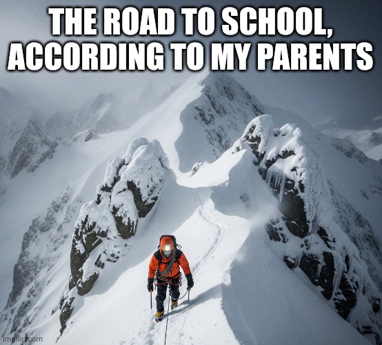 Do your parents say the same thing? | THE ROAD TO SCHOOL, ACCORDING TO MY PARENTS | image tagged in snowy road | made w/ Imgflip meme maker