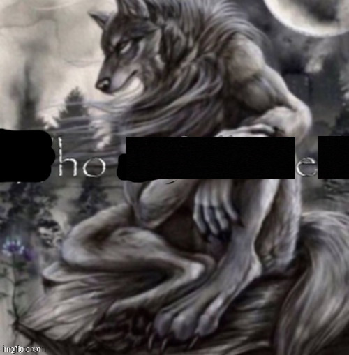 kms | image tagged in who followed | made w/ Imgflip meme maker