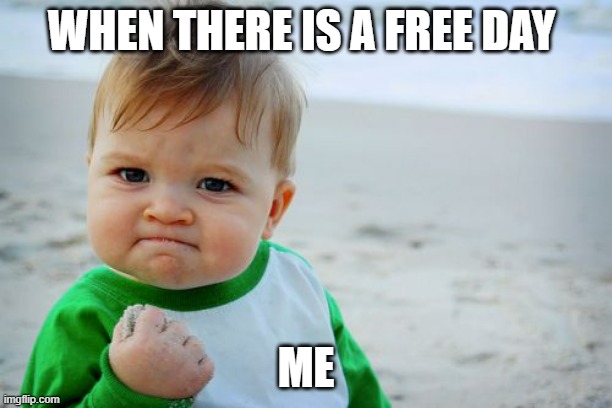 meme | WHEN THERE IS A FREE DAY; ME | image tagged in memes,success kid original | made w/ Imgflip meme maker