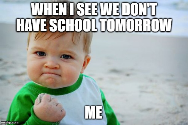 Success Kid Original | WHEN I SEE WE DON'T HAVE SCHOOL TOMORROW; ME | image tagged in memes,success kid original | made w/ Imgflip meme maker