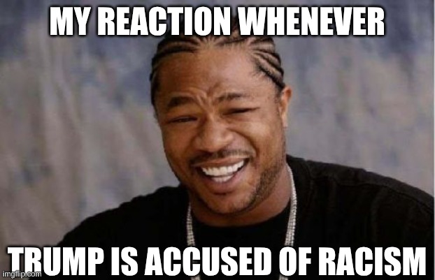 expression memes | MY REACTION WHENEVER; TRUMP IS ACCUSED OF RACISM | image tagged in yo dawg heard you,racism,debates | made w/ Imgflip meme maker