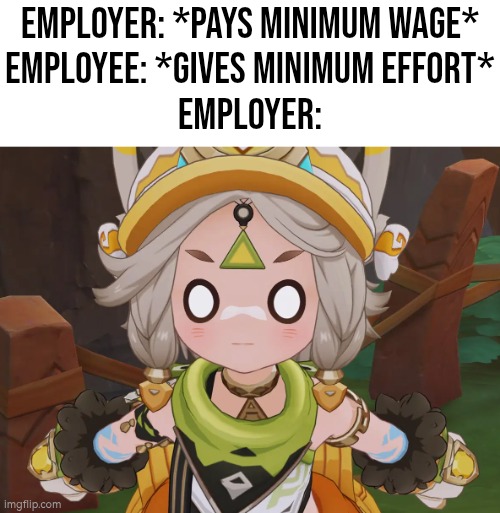 Next time pay more wage. | Employer: *Pays minimum Wage*
Employee: *Gives minimum Effort*
Employer: | image tagged in employer,employees | made w/ Imgflip meme maker