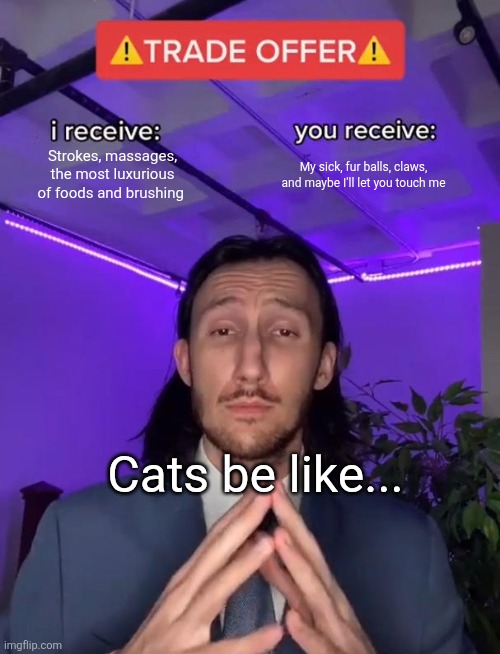 Cats be like... | Strokes, massages, the most luxurious of foods and brushing; My sick, fur balls, claws, and maybe I'll let you touch me; Cats be like... | image tagged in trade offer | made w/ Imgflip meme maker
