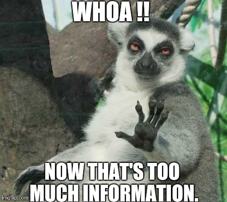 Stoner Lemur Meme | WHOA !! NOW THAT'S TOO MUCH INFORMATION. | image tagged in memes,stoner lemur | made w/ Imgflip meme maker