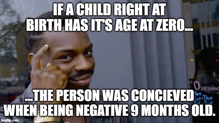 Life before birth is still existing, just not concious nor in the outside world, life, so... | IF A CHILD RIGHT AT BIRTH HAS IT'S AGE AT ZERO... ...THE PERSON WAS CONCIEVED WHEN BEING NEGATIVE 9 MONTHS OLD. | image tagged in birth,conception,counting,humans,memes,pregnancy | made w/ Imgflip meme maker