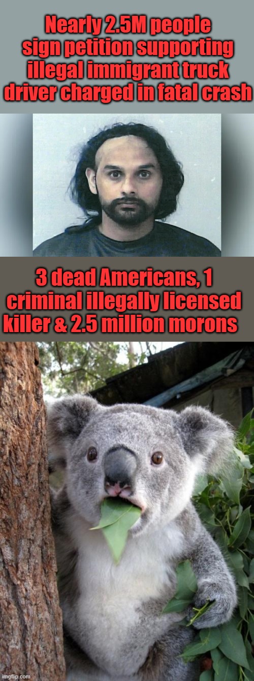 1 of Gavin Newsoms | Nearly 2.5M people sign petition supporting illegal immigrant truck driver charged in fatal crash; 3 dead Americans, 1 criminal illegally licensed killer & 2.5 million morons | image tagged in memes,surprised koala | made w/ Imgflip meme maker
