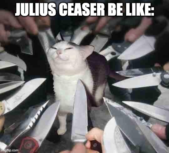 Knife Cat | JULIUS CEASER BE LIKE: | image tagged in knife cat | made w/ Imgflip meme maker