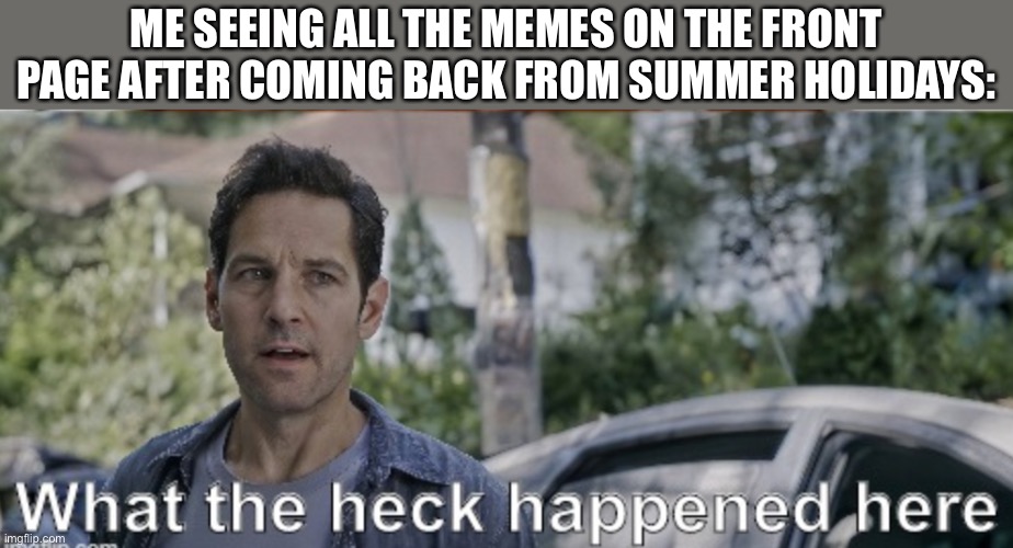 How do so many of them have so little upvotes?? | ME SEEING ALL THE MEMES ON THE FRONT PAGE AFTER COMING BACK FROM SUMMER HOLIDAYS: | image tagged in antman what the heck happened here,memes,funny | made w/ Imgflip meme maker