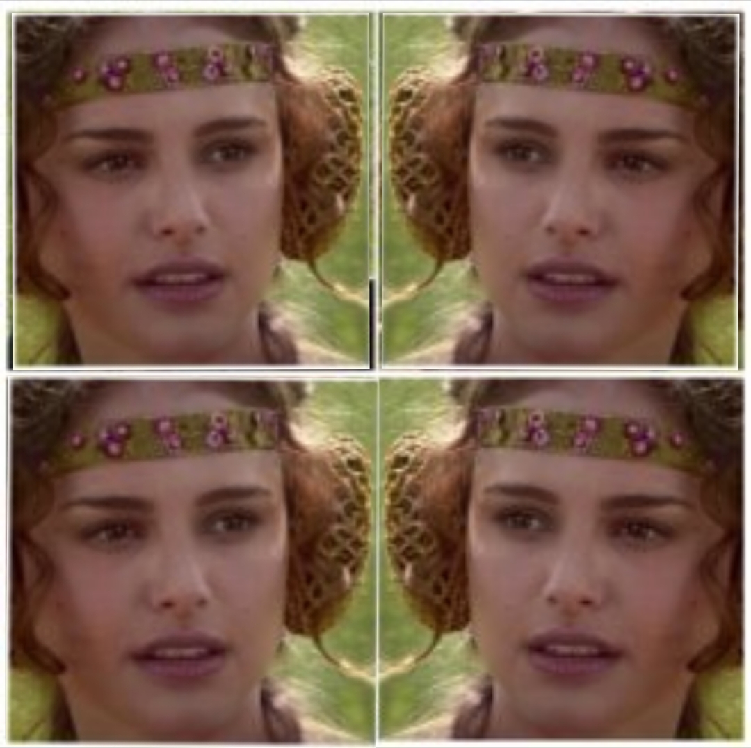 Padme 4 Blank Meme Template