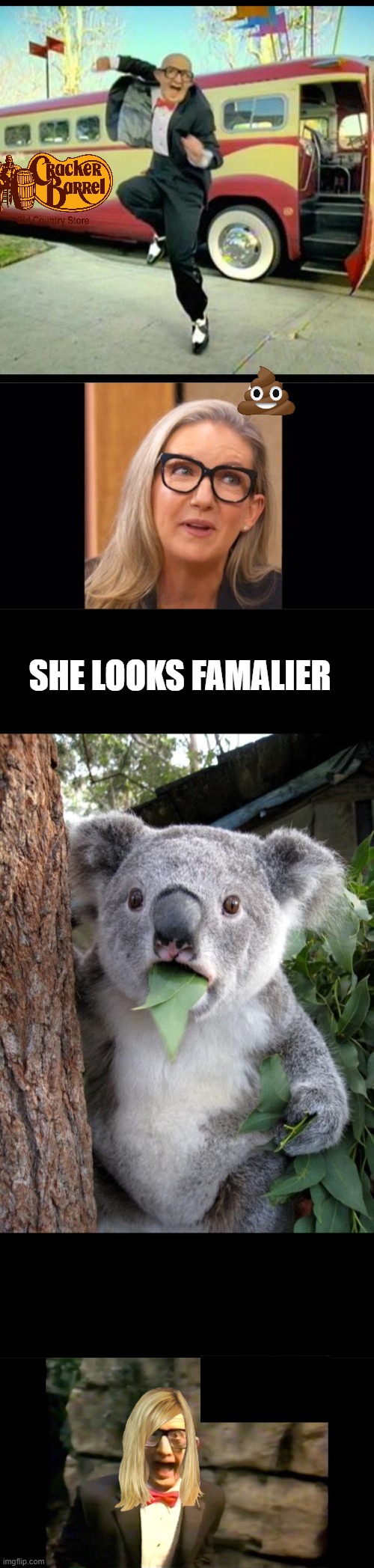 Can you hear the music | SHE LOOKS FAMALIER | image tagged in memes,surprised koala | made w/ Imgflip meme maker