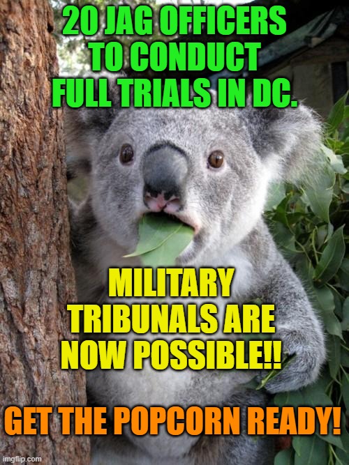 Surprised Koala | 20 JAG OFFICERS TO CONDUCT FULL TRIALS IN DC. MILITARY TRIBUNALS ARE NOW POSSIBLE!! GET THE POPCORN READY! | image tagged in memes,surprised koala | made w/ Imgflip meme maker