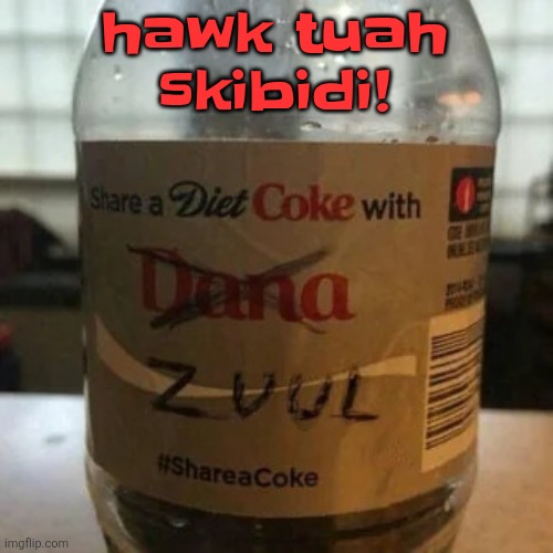 there is no diet, only zero | hawk tuah skibidi! | image tagged in there is no diet only zero | made w/ Imgflip meme maker