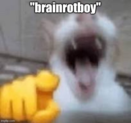 Cat Laughing | "brainrotboy" | image tagged in cat laughing | made w/ Imgflip meme maker