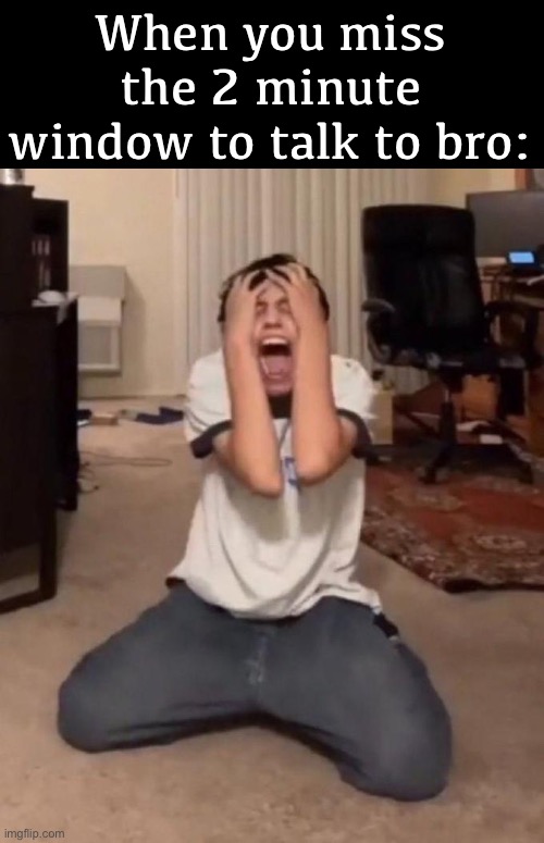 Me when:    meme | When you miss the 2 minute window to talk to bro: | image tagged in me when meme | made w/ Imgflip meme maker