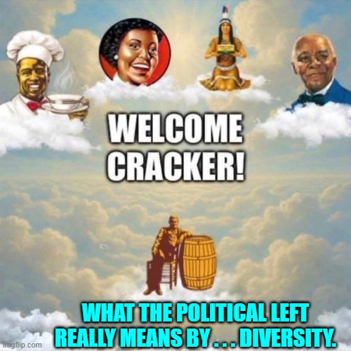 The Left: If it ain't broke, break it. | WHAT THE POLITICAL LEFT REALLY MEANS BY . . . DIVERSITY. | image tagged in yep | made w/ Imgflip meme maker