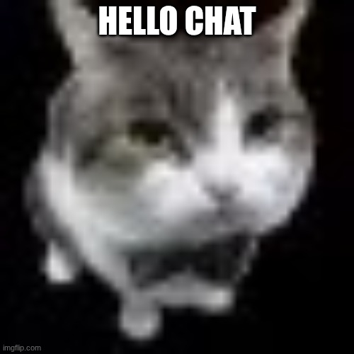 Le wawa cat | HELLO CHAT | image tagged in le wawa cat | made w/ Imgflip meme maker