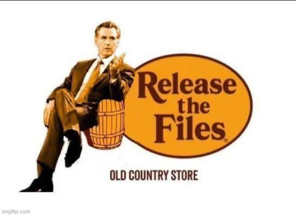 Even a better design | image tagged in donald trump,trump,maga,jeffrey epstein,epstein,trump supporter | made w/ Imgflip meme maker