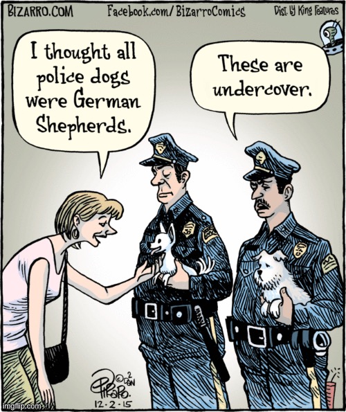 Bizarro Comics | image tagged in comics,bizarro comics,police dogs,undercover | made w/ Imgflip meme maker